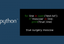 Учим Python : перекрестный поиск  for line in  file