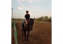 Спортивная лошадь — управление : представление на современном уровне
