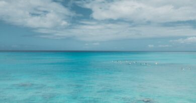 people swimming on sea under white clouds