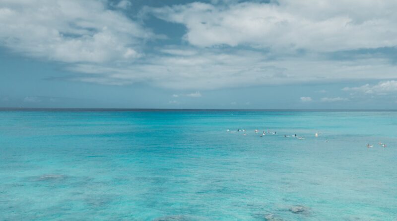 people swimming on sea under white clouds