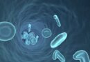 Удивительные случаи из медицинской практики